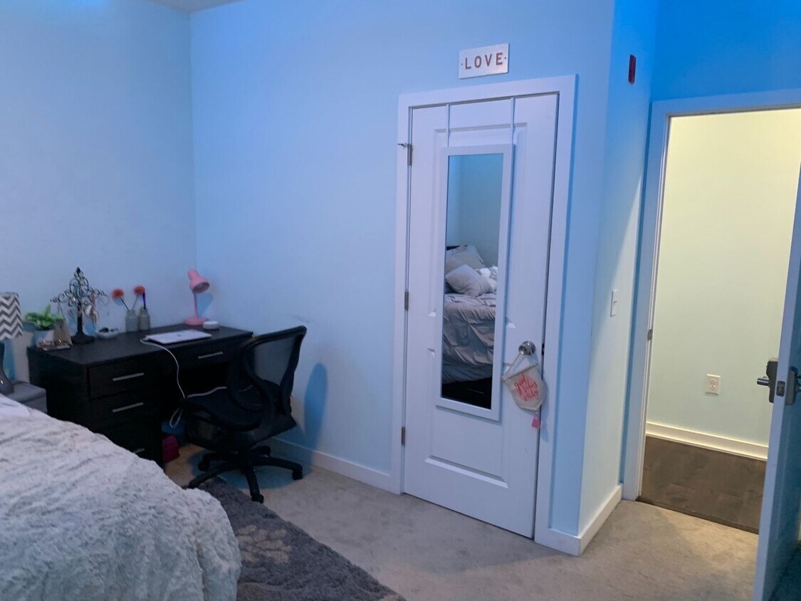 Foto principal - 1537-41 Seybert