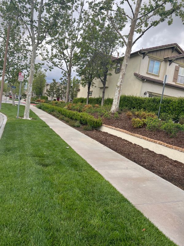 Foto del edificio - 24098 Stone Creek Dr