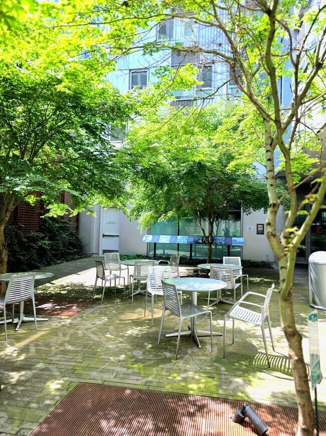 Foto del interior - Louisa Flowers apartments