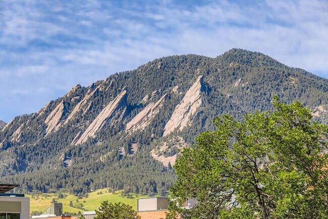 Foto del edificio - AMAZING LOCATION 2 Bed 2 Bath Condo In The...