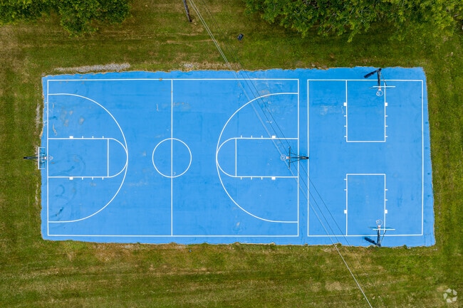 Basketball Courts - The Den Cedar Ridge Apartments