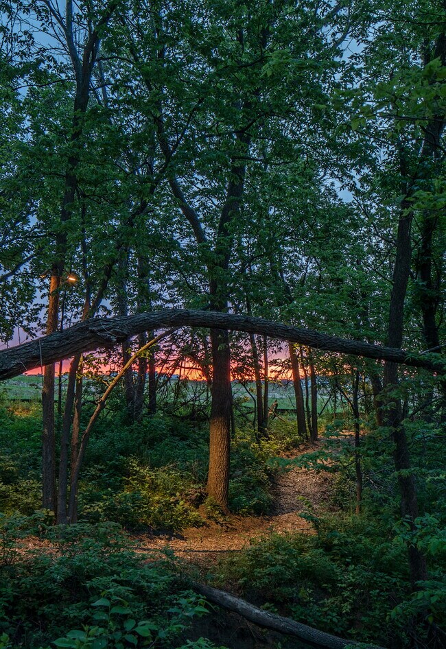 Bungalows on the Lake at Prairie Queen Apartments 13172 Lincoln Rd