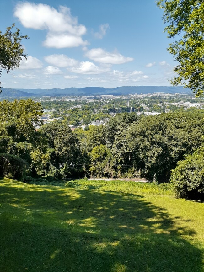 view from back of quadruplex - 115 S Crest Rd