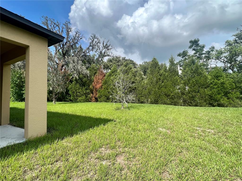 12346 Chaya Ct, Spring Hill, FL 34610 House Rental in Spring Hill, FL