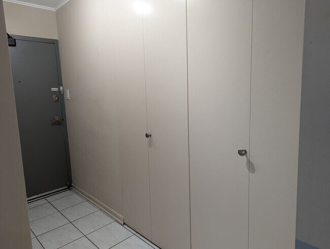 Foto del edificio - Incredible 1b1b in downtown Streeterville prime location