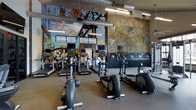 This fitness center combines functionality with striking artistic design to create a compelling workout space. The room is anchored by a large, colorful mural spanning one wall, depicting an industrial-themed scene with bold, expressive brushwork that adds significant character to the environment. Opposite the mural, a textured rock climbing wall with varied handholds rises to a considerable height, offering an adventurous alternative to traditional cardio training and serving as a standout architectural feature.

The floor is finished with durable rubber gym flooring, ideal for both cardio and strength activities. A row of treadmills and elliptical cross-trainers is arranged throughout the space, each unit equipped with its own monitor for entertainment during workouts. Overhead, exposed industrial-style ductwork and suspended linear lighting fixtures contribute to the warehouse-inspired aesthetic while providing ample illumination throughout. The high ceilings enhance the sense of openness, accommodating the climbing wall and giving the space an airy, expansive feel. Overall, the gym balances practical fitness amenities with a bold, urban design sensibility.