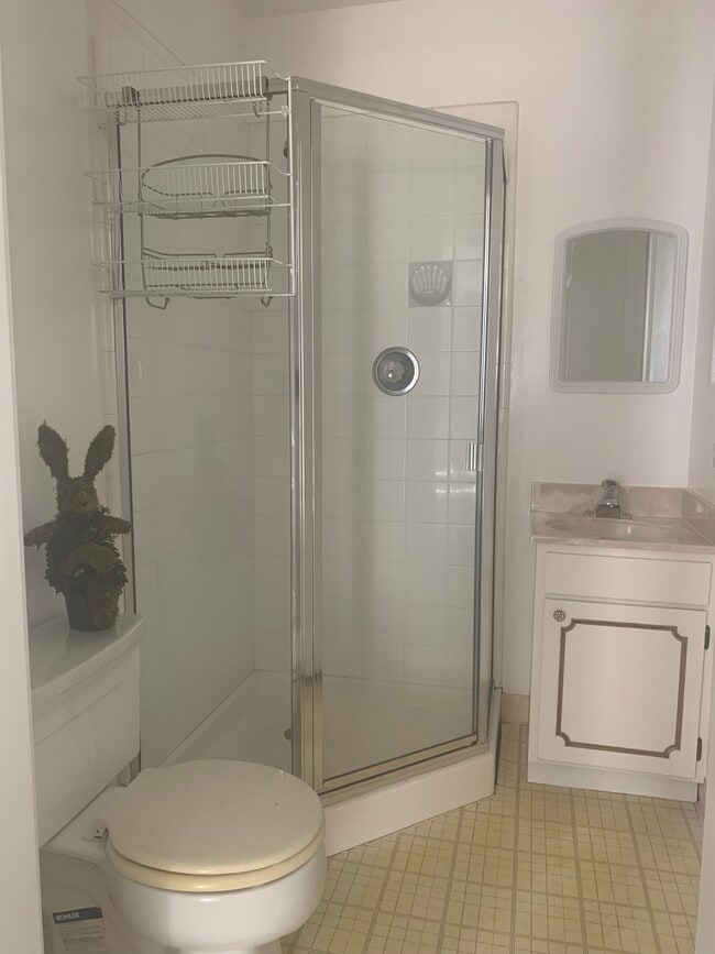 Bathroom - 225 3rd Ave