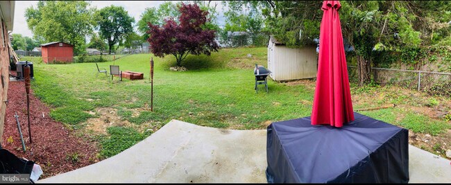 Backyard - 5904 Temple Hill Rd