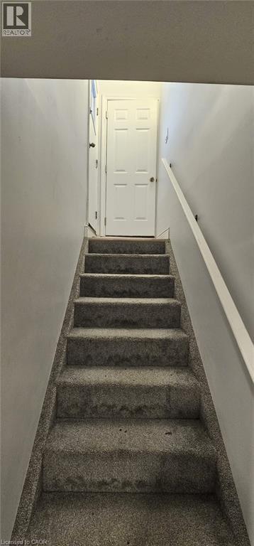 Photo du bâtiment - 247 Krug St