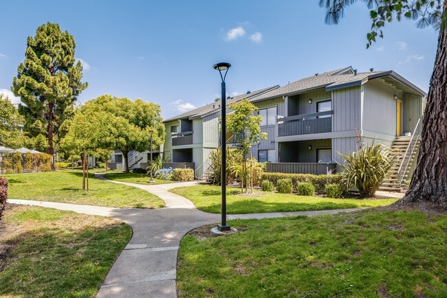 Building Photo - The Dutton Apartments