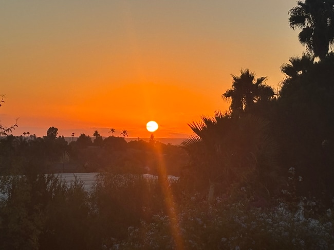 Building Photo - 315 Osborne St