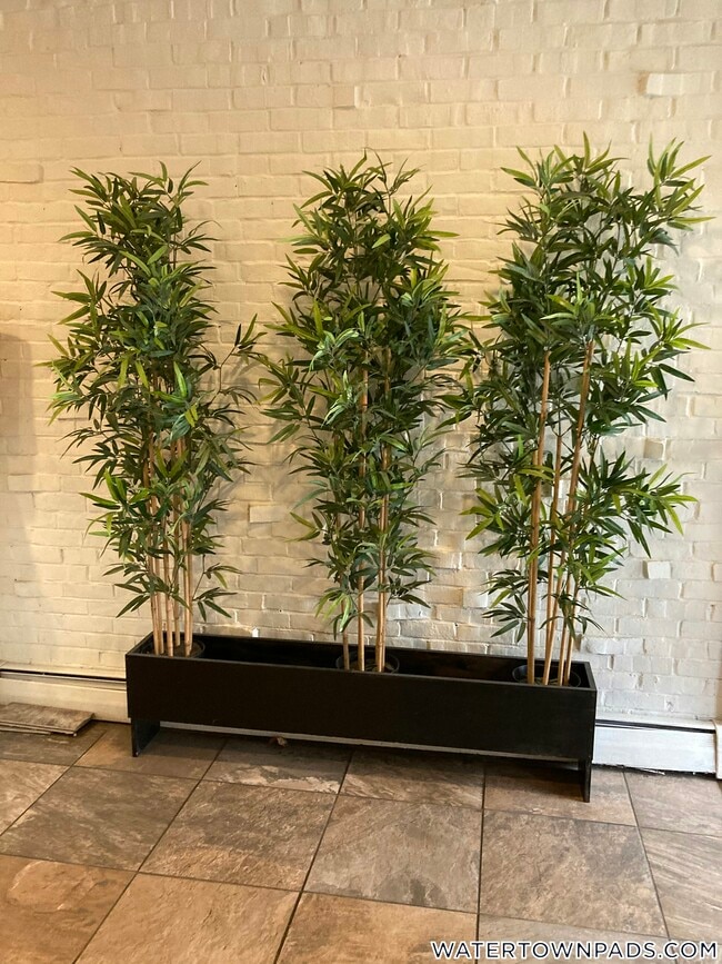 Building Photo - 16 Whites Ave