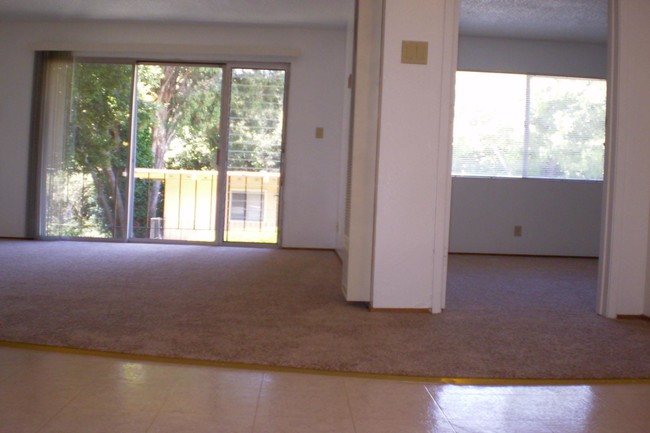 One bedroom Interior - Leisure Terrace
