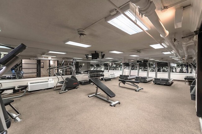 Gym - 65 East Scott