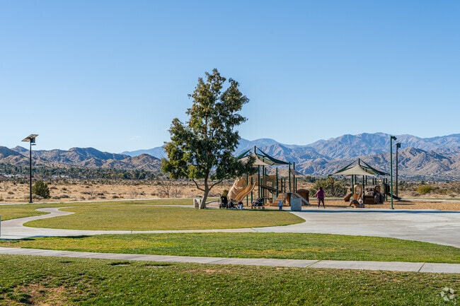 Essig Park is a wonderful place to take the family for a day in the park.
