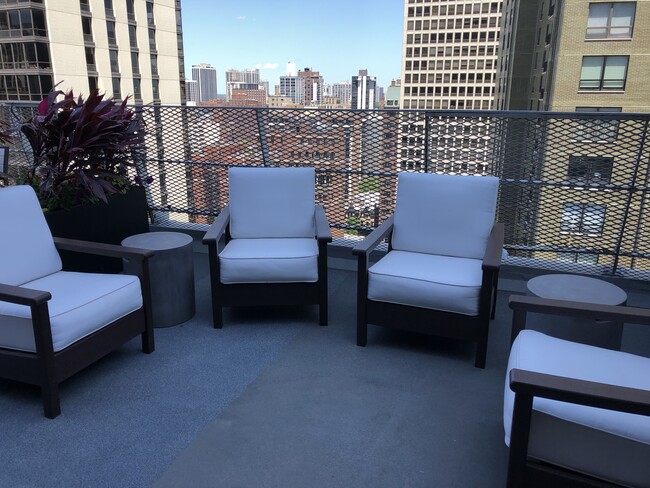 Shared rooftop deck - 1000 N Lake Shore Dr