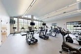 Located at 22 Loso Dr in Cicero, NY, this well-appointed fitness center offers a generous, open single-floor layout designed to accommodate a comprehensive range of exercise activities. The space is defined by its striking floor-to-ceiling window walls that flood the interior with natural light and provide expansive views of the surrounding landscape, including glimpses of a nearby waterway and mature trees. The vaulted ceiling with exposed structural elements adds to the sense of openness and volume throughout the facility. Sleek linear LED lighting runs the length of the ceiling, ensuring consistent, bright illumination across the entire workout floor. The cardio zone is extensively equipped with rows of True-brand treadmills, elliptical trainers, and stationary bikes, many outfitted with individual display screens. Multiple wall-mounted televisions provide additional entertainment options for users. The strength and functional training area features a Hoist cable machine system, a squat rack, a rowing machine, a full dumbbell rack, medicine balls, and a dedicated turf training strip for functional movements and stretching. Durable, cushioned flooring throughout supports high-impact activity while maintaining a clean, modern aesthetic. The facility connects to additional rooms via an interior corridor, suggesting broader amenity offerings within the building.
