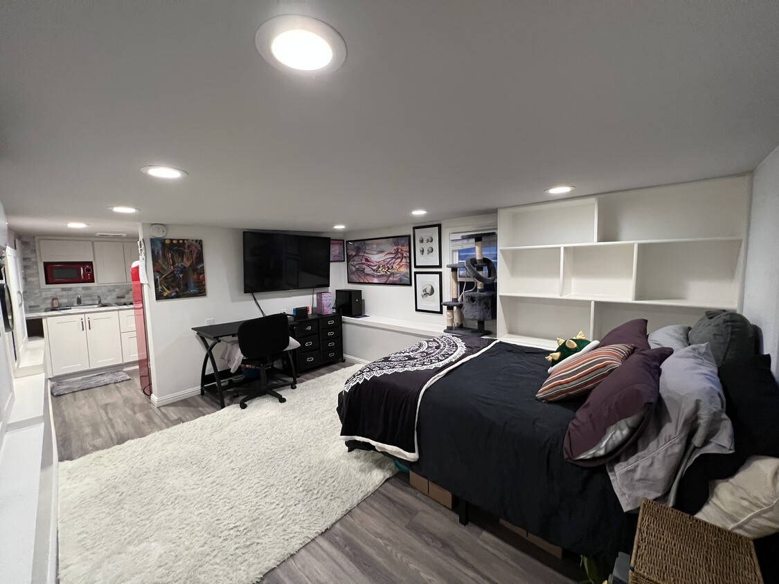 Living & Bedroom (Entry View) - 264 Spring St