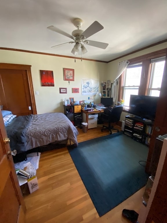 Foto del edificio - 33 Iroquois St