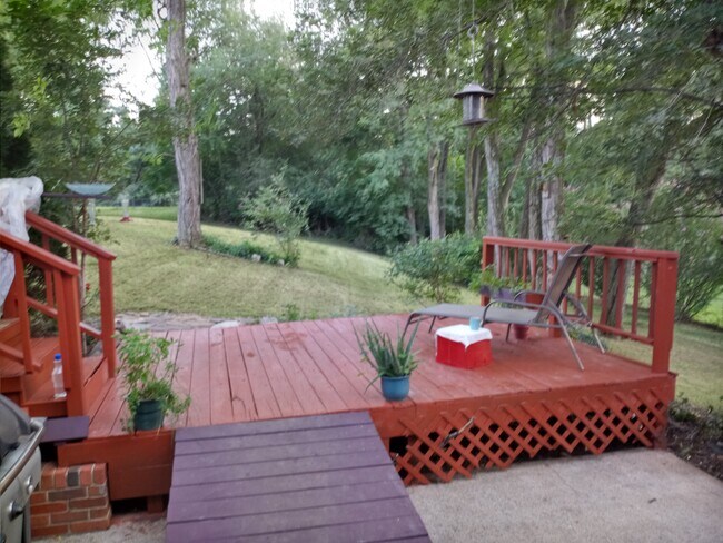 Private, spacious backyard - 1340 Darlington Dr