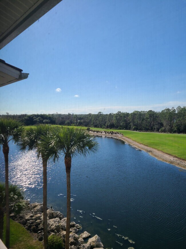 Foto del edificio - 8610 Cedar Hammock Cir