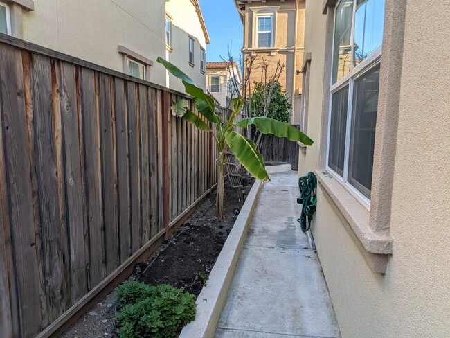 patio lateral - 427 Silvercrown Way