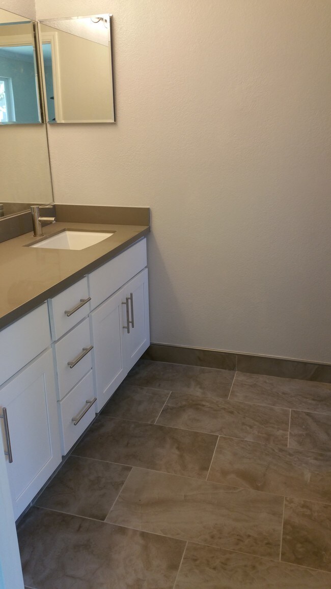 Master vanity - 1042 Reed Terrace
