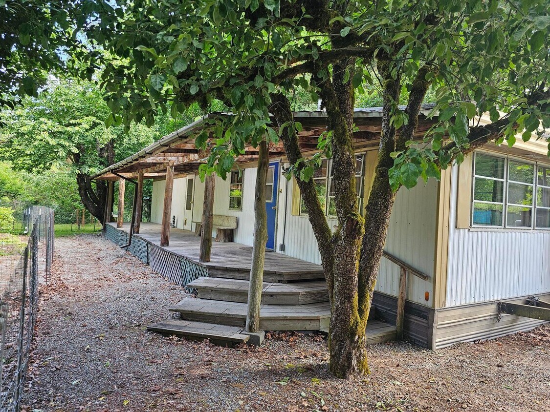 Primary Photo - Cute 1BED/1BATH Available now!