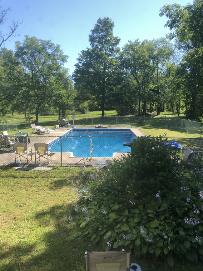 Backyard pool - 6414 State Route 233