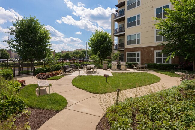 Los apartamentos Victor Stonebridge — foto comunitaria - The Victor Stonebridge