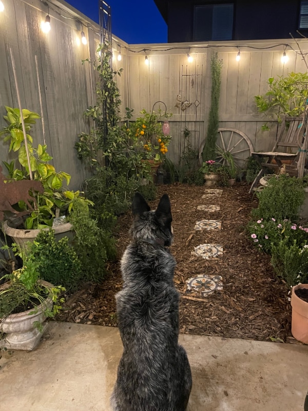 Building Photo - 2216 1/2 Motta St