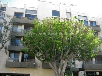 Foto principal - 1820 Whitley Ave