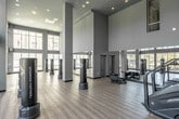Located at 100 Zoo Lane in Santa Ana, California, this single-floor fitness center offers a generously sized workout space designed to accommodate a wide range of exercise activities. The facility is defined by its striking double-height ceilings, which create an open, airy atmosphere and contribute to a sense of expansive volume throughout the room.

Large, floor-to-ceiling windows line the perimeter, flooding the interior with abundant natural light and providing views of the surrounding outdoor greenery and courtyard. The light-toned hardwood-style flooring complements the soft sage-green walls, giving the space a clean, modern aesthetic.

The main open area is well-equipped with multiple freestanding TKO sparring partner heavy bags, ideal for boxing and martial arts training. A full-length mirror wall runs along one side of the room, enhancing both the functional and visual depth of the space. Recessed lighting supplements the natural light, ensuring consistent illumination throughout the day.

A dedicated cardio zone houses a treadmill and a step mill stair climber, while additional equipment and storage racks are positioned along the walls. The open floor plan allows for flexible use, supporting everything from strength training to group fitness activities. The overall ambiance is bright, welcoming, and purpose-built for an active lifestyle.