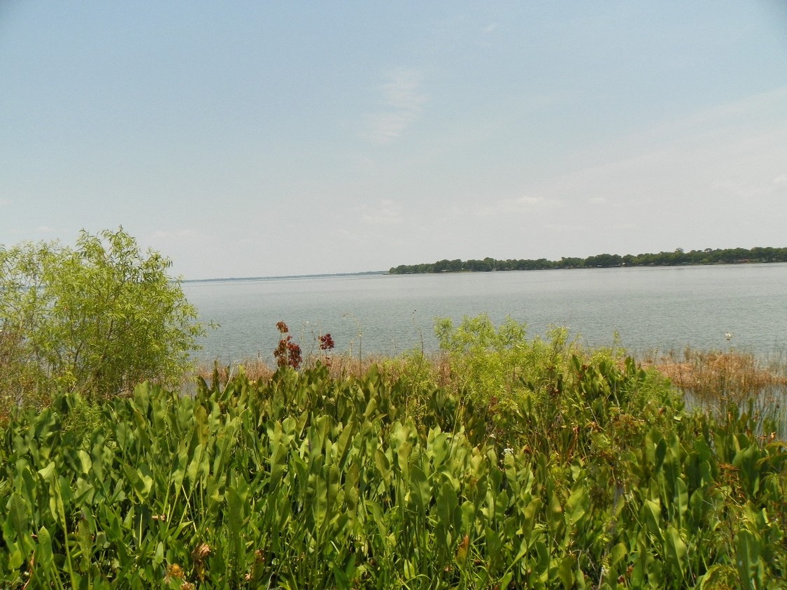 Foto principal - Fisherman's Cove Golf & RV Resort