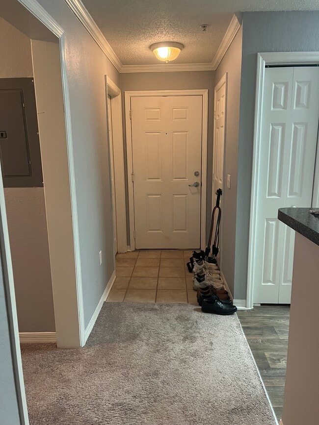 18001 Richmond Place Dr Unit 1037, Tampa, FL 33647 Condo for Rent in