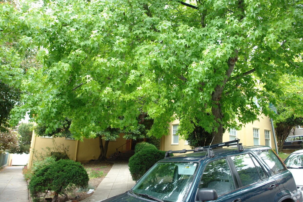 1862 Arch St, Berkeley, CA 94709 Apartments in Berkeley, CA