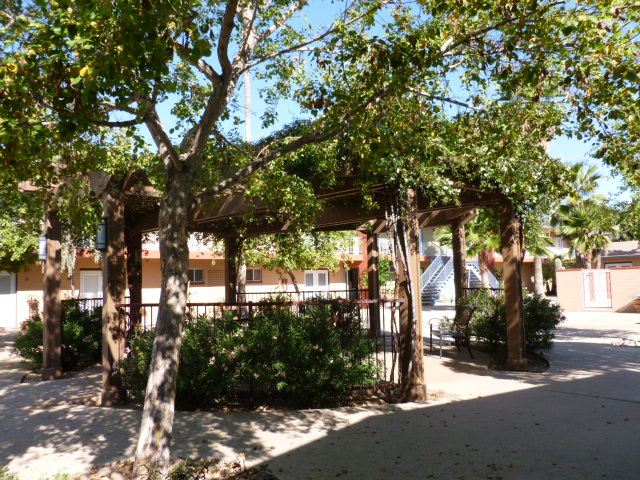 Ramada with Bench Seating - Coronado Vista Courtyard Apts.(SENIOR LIVING)
