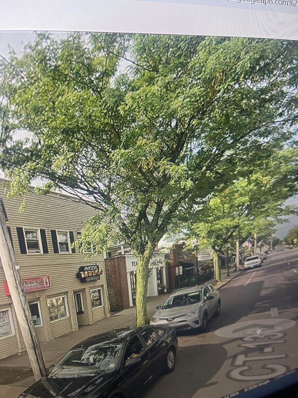 Foto del edificio - 2865 Fairfield Ave