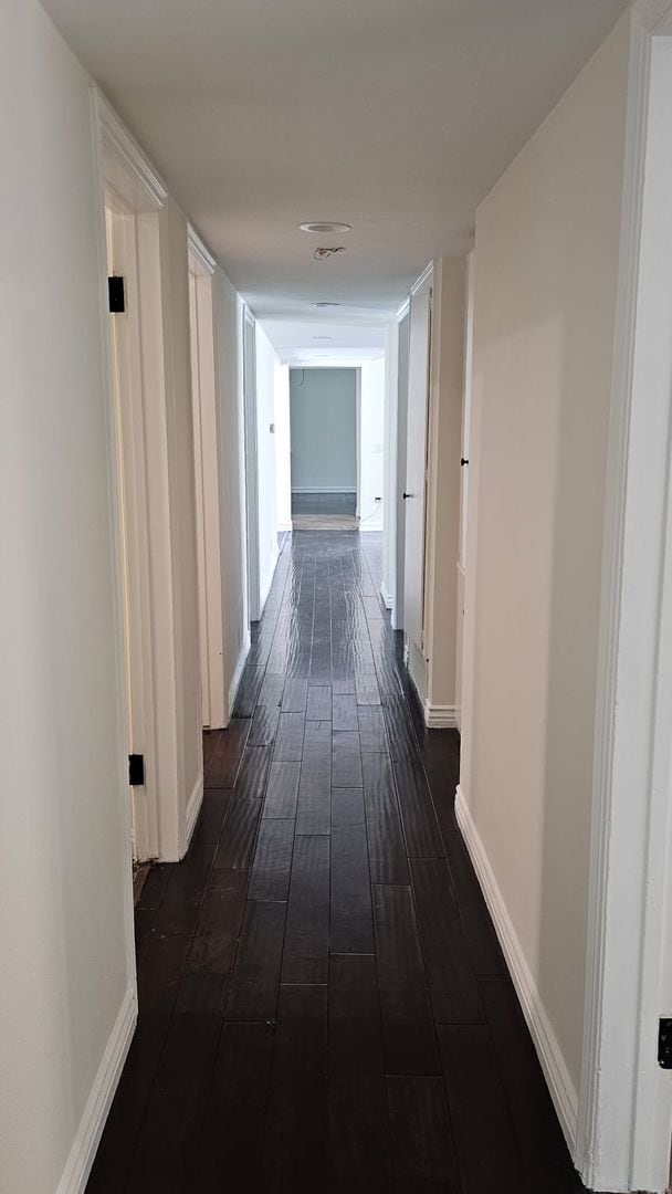 Building Photo - Gorgeous Newly Remodeled 4 Bedroom 2 Bath ...