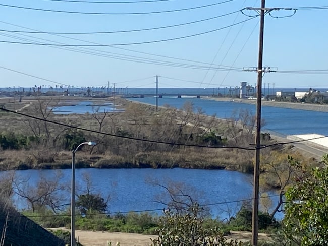 Building Photo - 2151 Pacific Ave