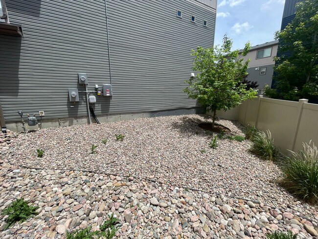 Foto del edificio - 3 Bedroom Home in Banning Lewis Ranch