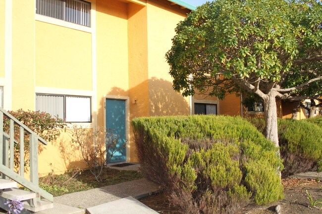 Building Photo - 3306 Del Monte Blvd