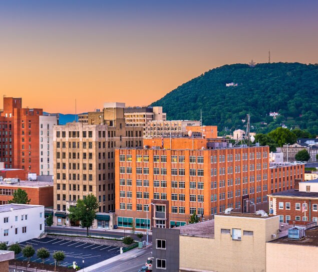 Is Williamson Road a Good Place To Live in Roanoke? Neighborhood Guide by
