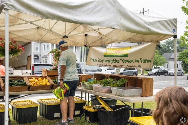 A variety of produce is available from local vendors at the Ashland Farmers Market.