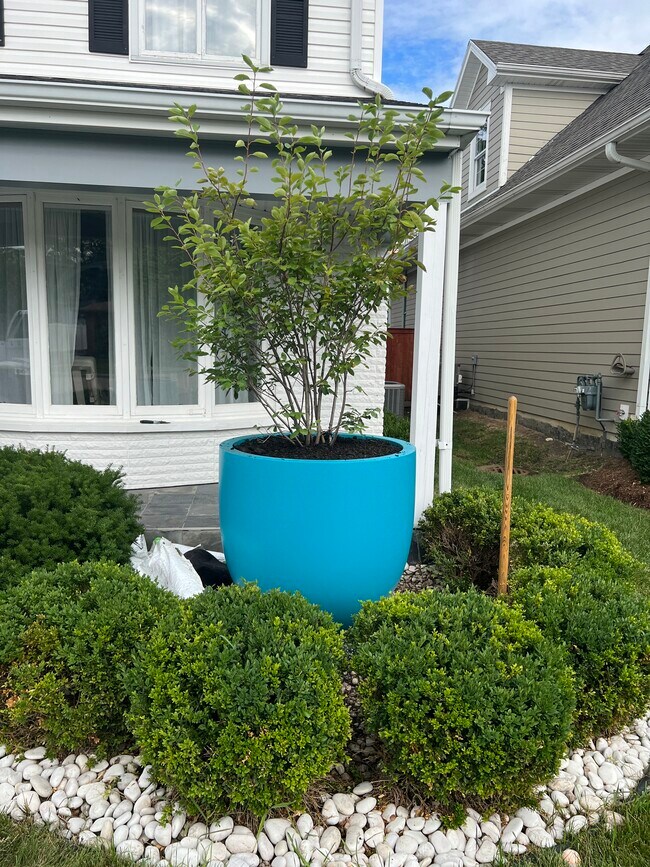 Foto del edificio - 619 Grant Ave