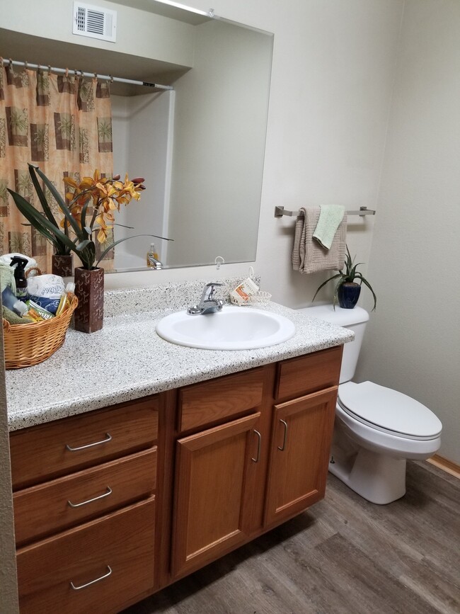 Large Hall Bathroom - Rock Creek Conway