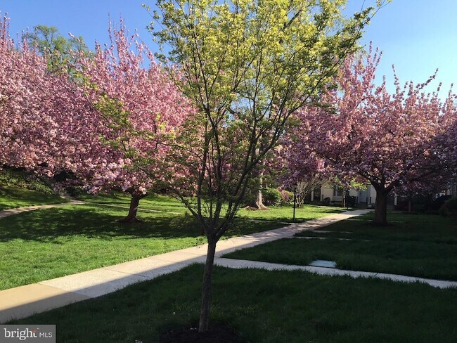 Foto del edificio - 4920 Bradley Blvd