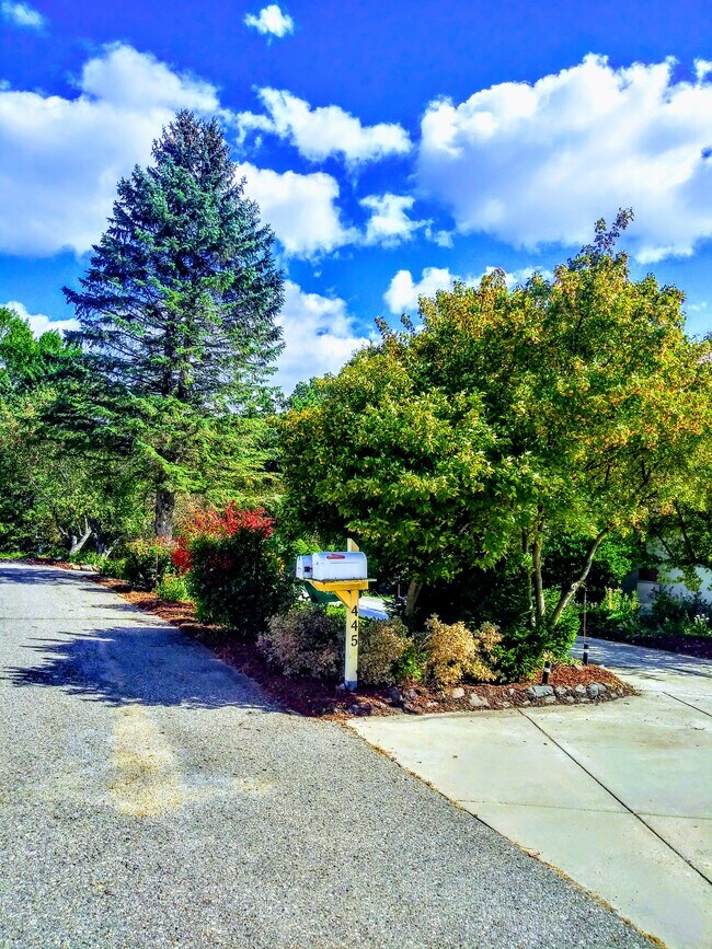 Spectacular plants line the roadside of your new home! - 445 Lakota Ln
