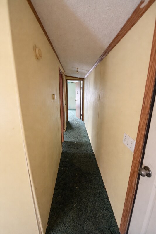 Foto del edificio - 11 Jacob Ln