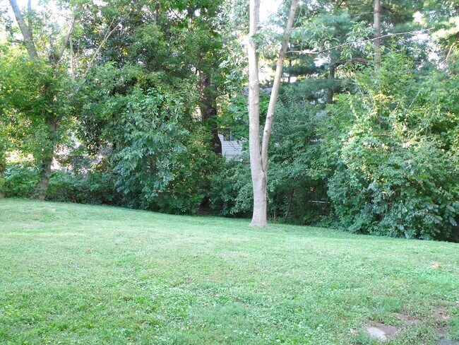 backyard - 12209 Middle Rd